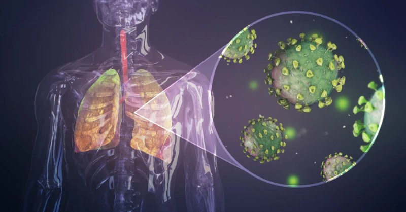 Human body and coronavirus graphic