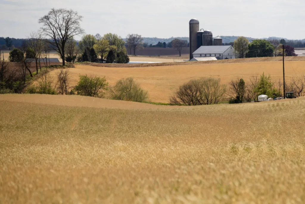 RURAL - The Keystone Newsroom