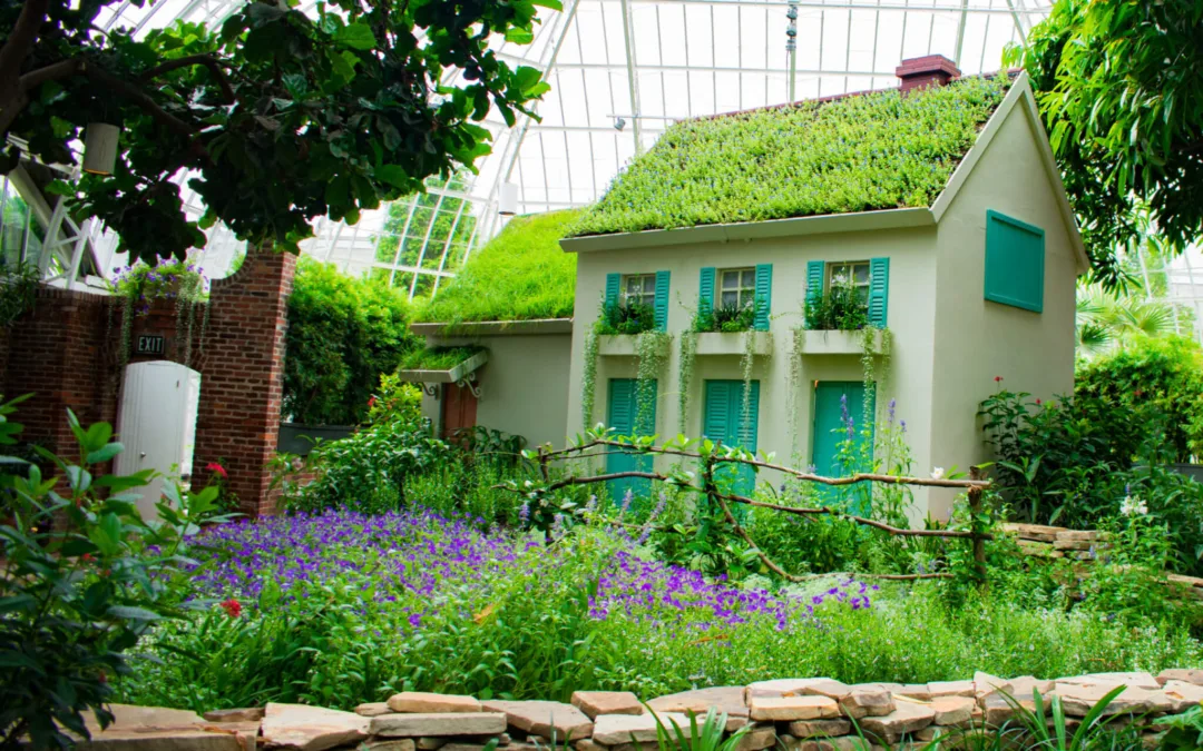 Enjoy the Wonderful Winter of 2021 With These Fun (but Safe) Things to Do: Jan. 8-10