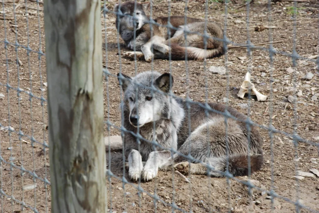 Ashley Adams - The Keystone Newsroom