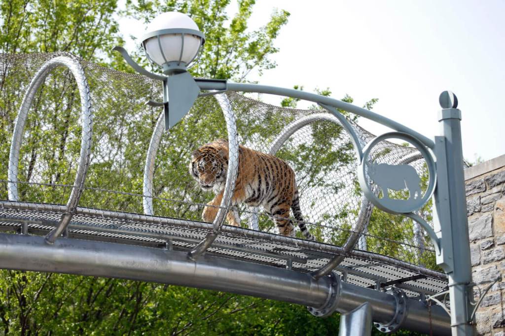 Year-long joy: Give the gift of Pennsylvania parks, zoos, and museums this Christmas