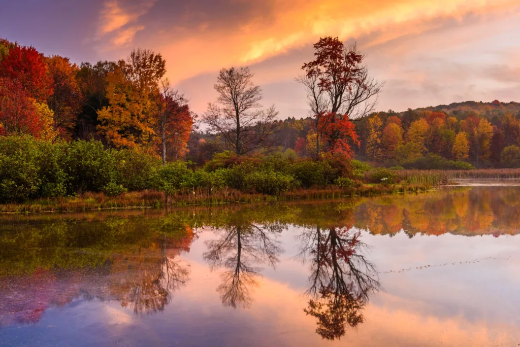 Ashley Adams - The Keystone Newsroom