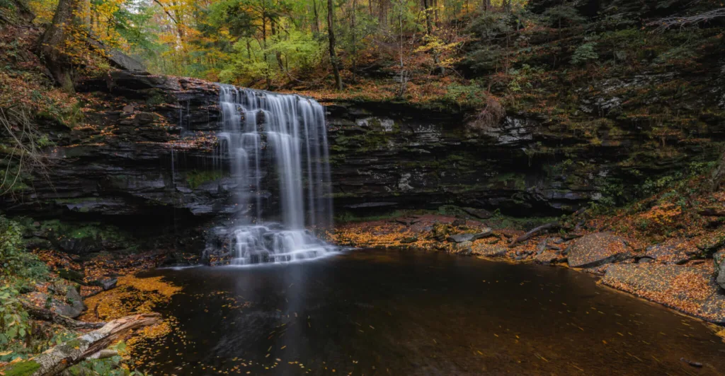 Sean Kitchen - The Keystone Newsroom