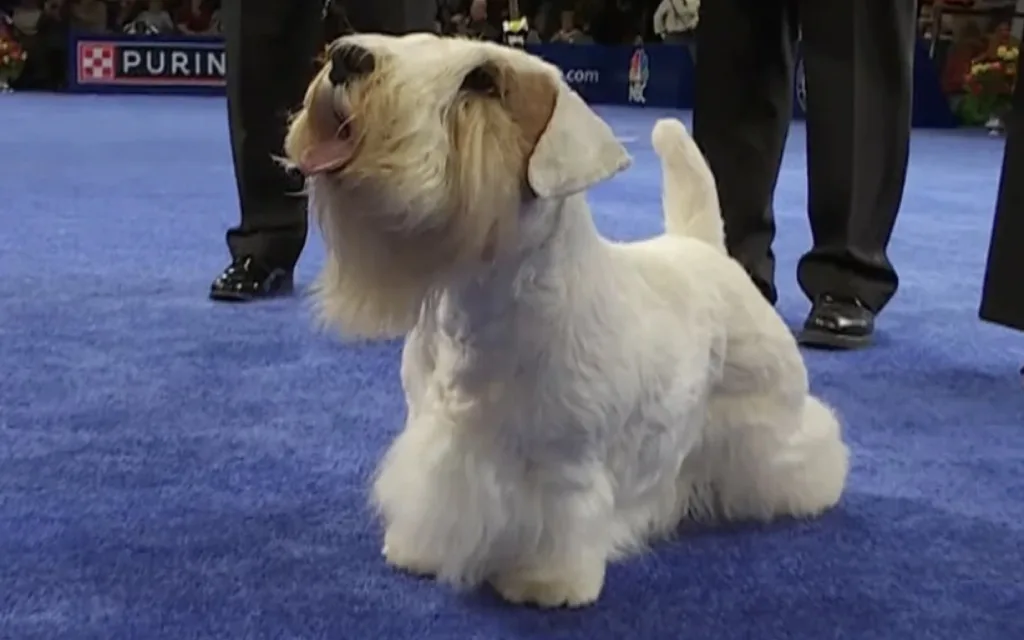The 8 coolest Pennsylvania animals we met in 2023