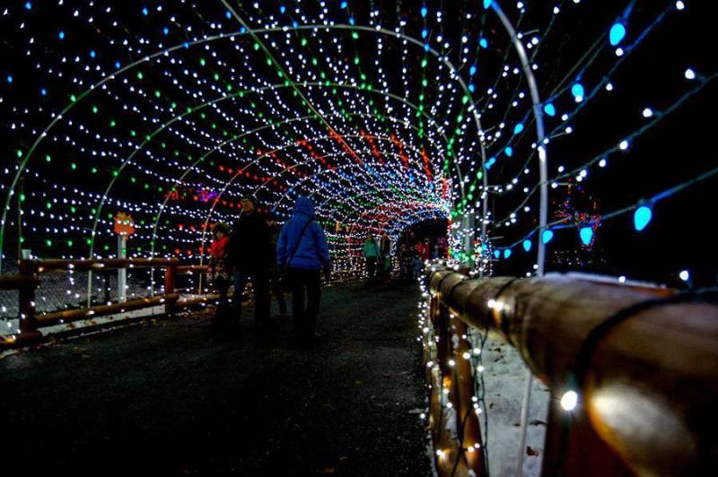 Winter Light Spectacular at Lehigh Valley Zoo.