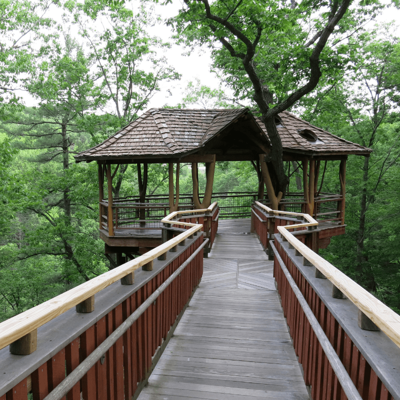 The best kid-friendly attractions for $20 or less in and around Scranton