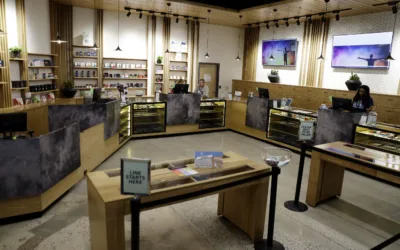 Cannabis 101: Exploring Pennsylvania’s budding marijuana scene