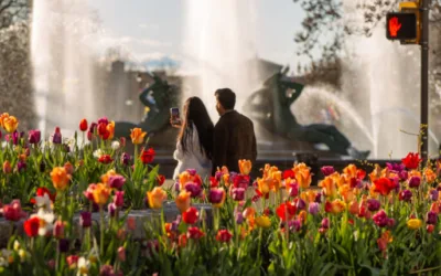 Tulip tourism: When and where to see tulips in Pennsylvania