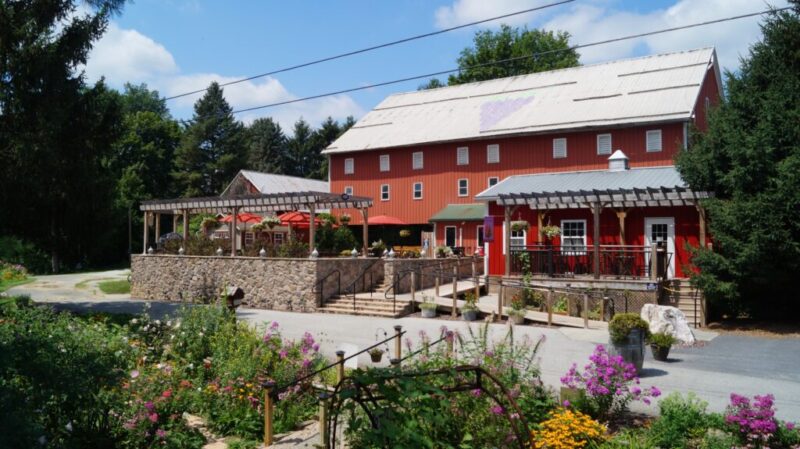 Pennsylvania Wineries To Visit On National Wine Day