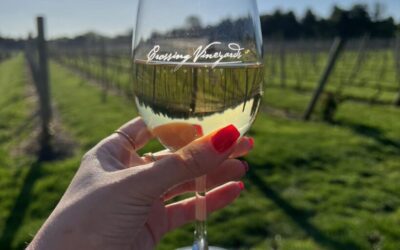 Pa. wineries turn to lawmakers for legislation to protect the industry