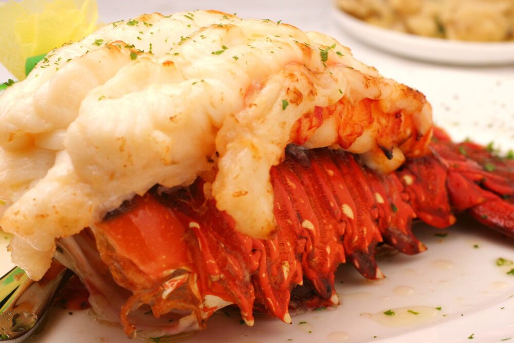 A cooked lobster tail with a side of butter.