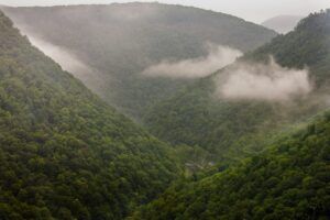 The PA Grand Canyon with misty fog