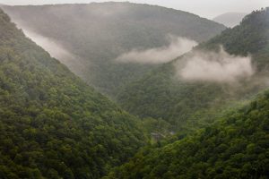 The PA Grand Canyon with misty fog