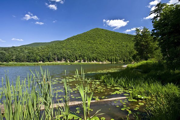 Little Pine Lake, at Little Pine State Park, in Lycoming County, Pennsylvania, United States. This is one of the best fishing spots in PA.
