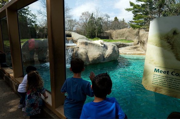 Visitors admire the outdoor polar bear exhibit on the early spring day of April 3, 2017, at the Philadelphia Zoo, in Philadelphia, PA. The popular tourist destination, located just outside Center City Philadelphia, is America's first zoo and one of the best things to do in Philadelphia.