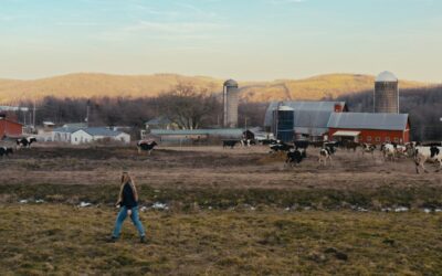 Biden’s Inflation Reduction Act helped boost two PA Dairy farmers’ yogurt business. Now its funding is at risk.