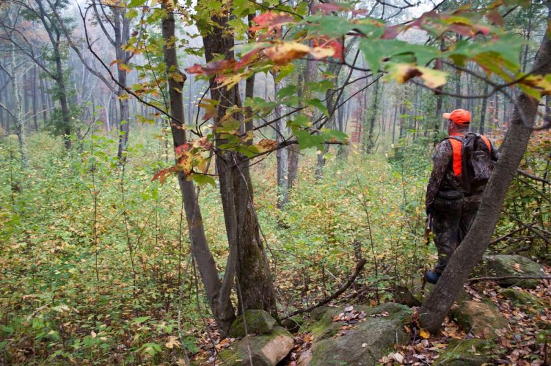 Lawmakers advance proposal to greatly expand Sunday hunting in Pennsylvania