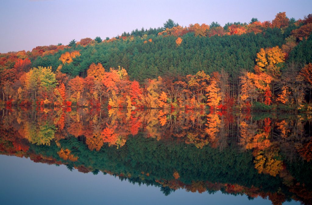 NATURE - The Keystone Newsroom