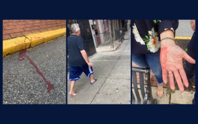 Kamala Harris supporter assaulted during rally in York City