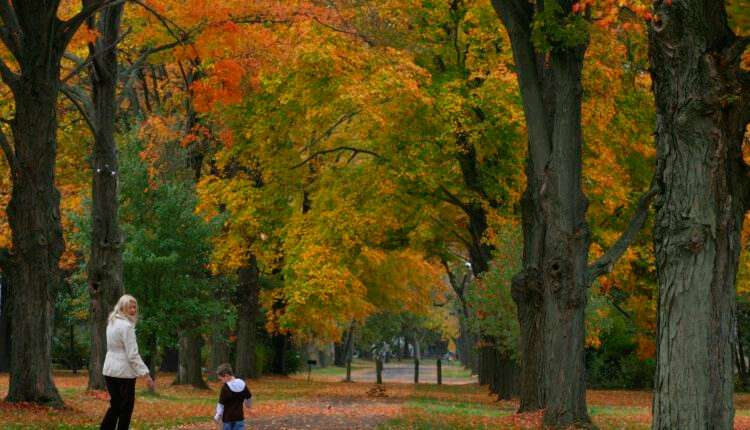 Leaf peeping in Pennsylvania: Best spots