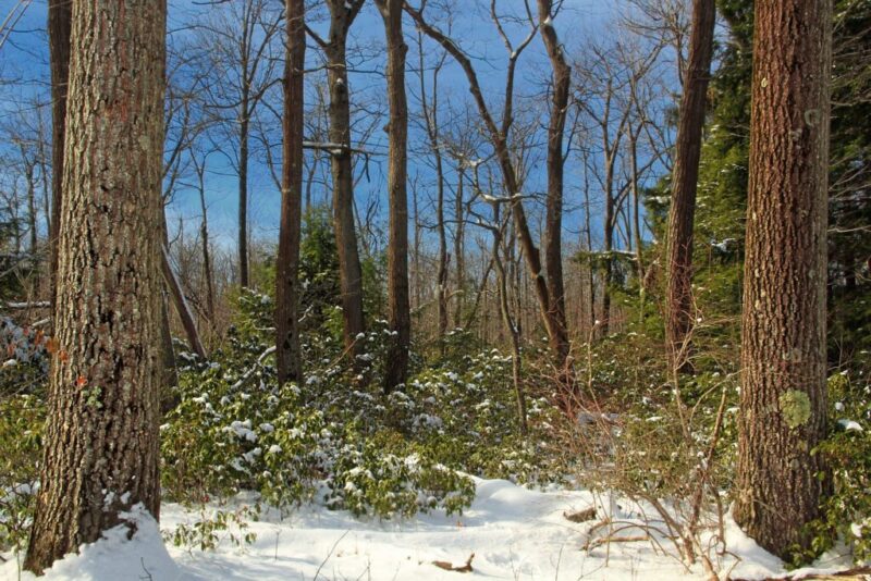 The best Pennsylvania state parks to enjoy in the winter