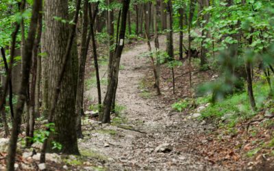 Pride on the trail: LGBTQ hiking, running, and birding groups to join in Pennsylvania