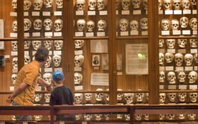 22 of the quirkiest museums in Pennsylvania