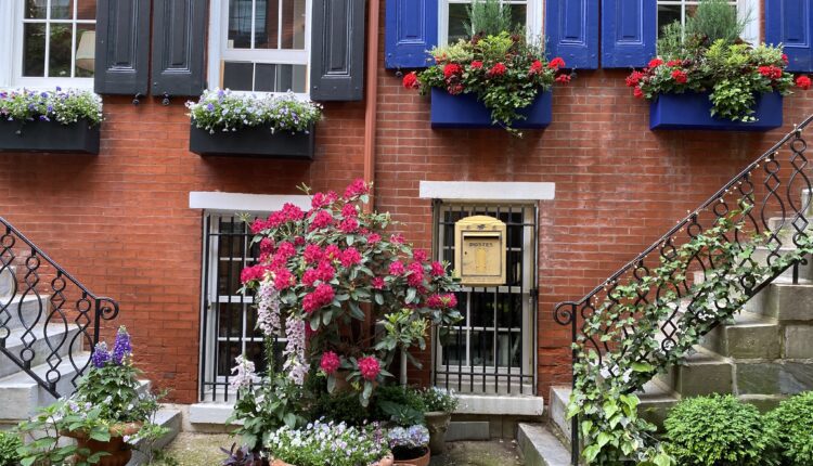 Your guide to container gardening in Pennsylvania