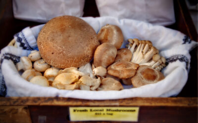 PA is the country’s largest producer of one food: Can you guess what it is?