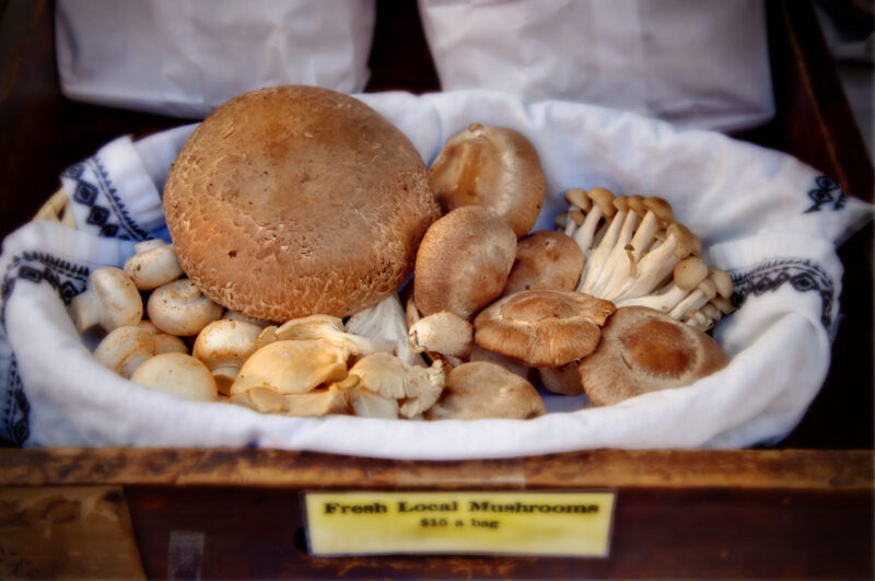 PA is the country’s largest producer of one food: Can you guess what is is?