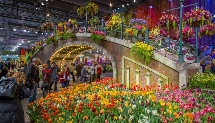 Pennsylvania in bloom: 14 flower festivals to check out in 2025