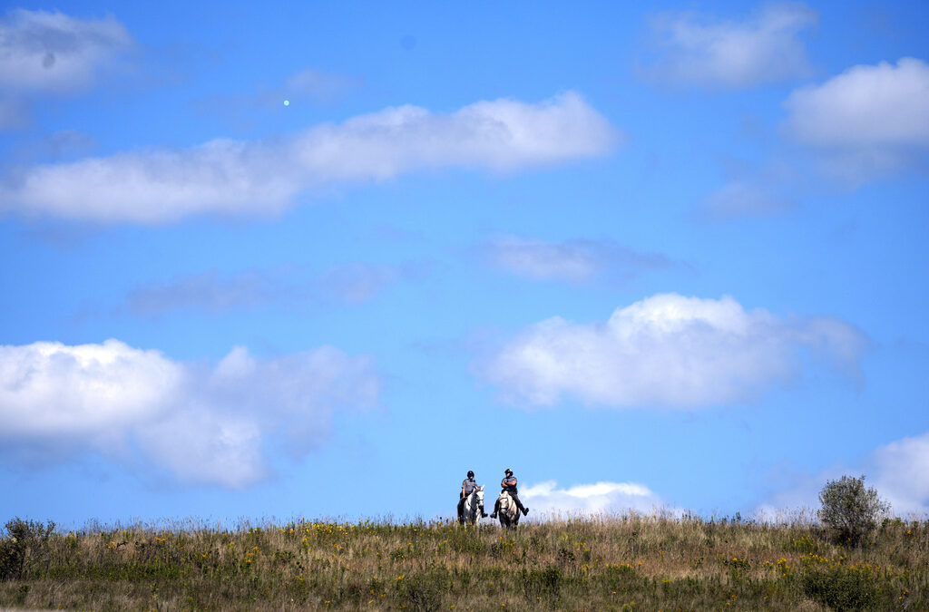 Effort to replace dead and unhealthy trees at Flight 93 memorial in Shanksville expected to take decades