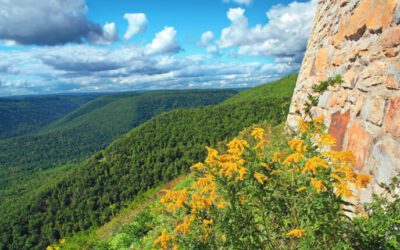 Pa. state parks see increase in visitors following federal cuts at national parks
