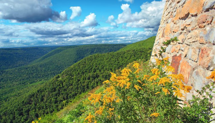 The 8 most underrated state parks in Pennsylvania