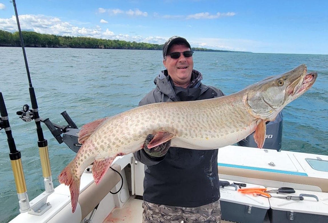 Erie fish Erie fish
