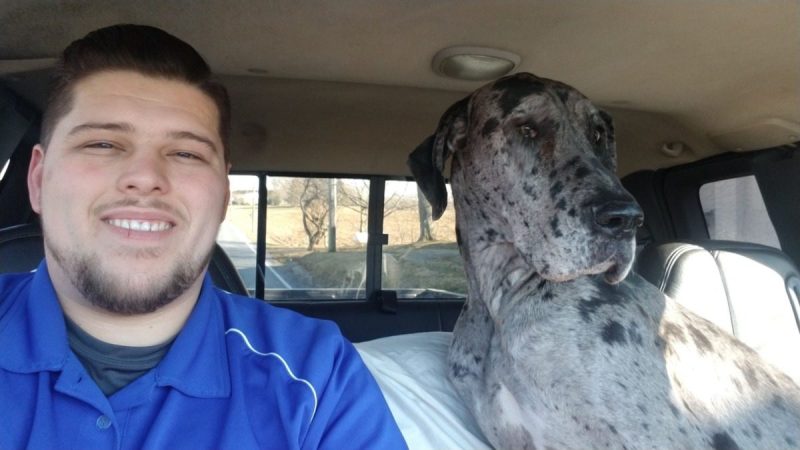 Ephrata family dog’s last meal is a special one thanks to the kindness of strangers