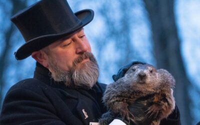 PETA wants a hologram Punxsutawney Phil making weather predictions