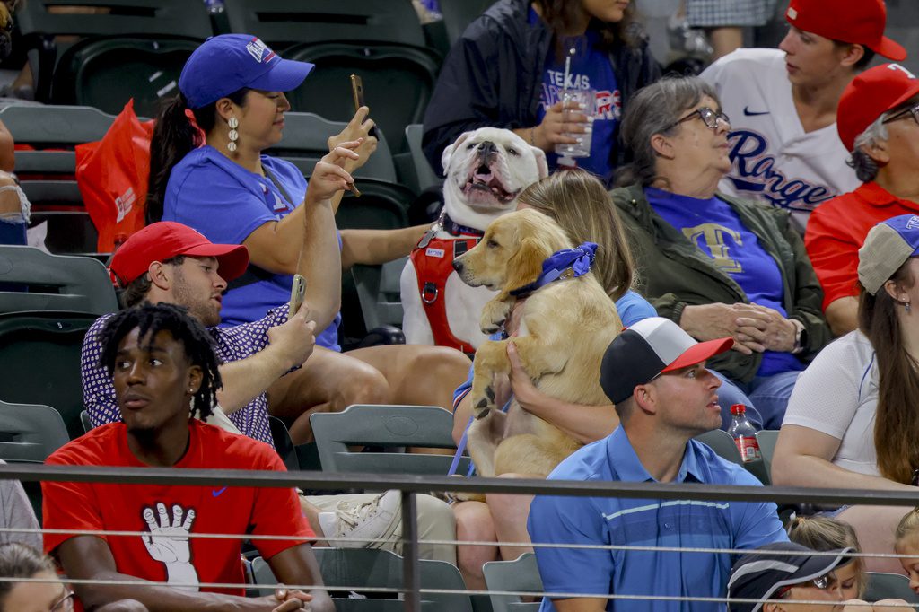 Bark at the Park