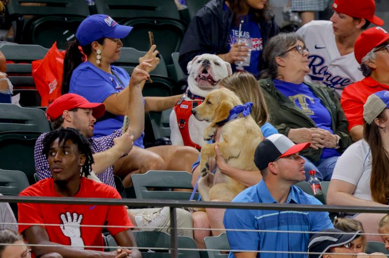 Bark at the Park