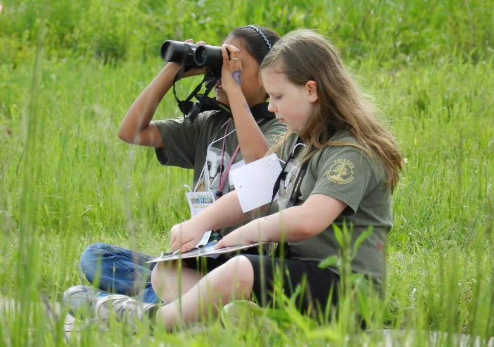 “Go Birds” exhibition: Interactive bird watching at Philly Library