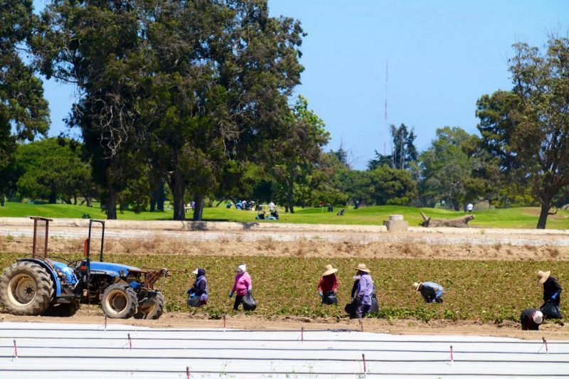 Concerns raised in Pa. over ICE raids on farms