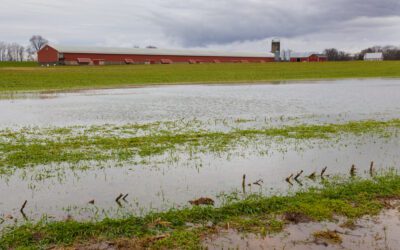 In a summer marked by flash floods, Pa. lawmaker wants homeowners to be aware of flood risks