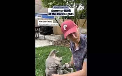 Summer ‘bark at the park’ nights