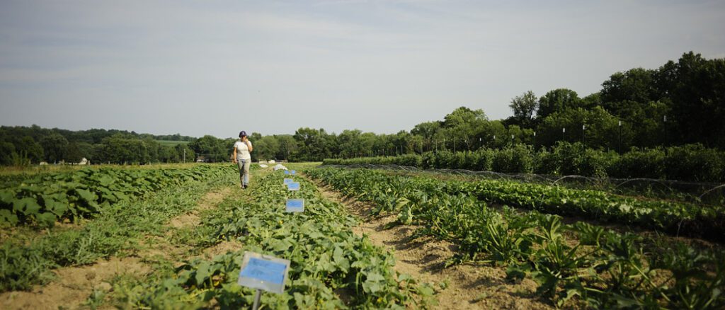 FARMING - The Keystone Newsroom