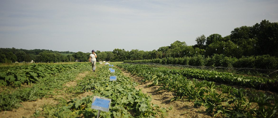 Federal cuts to SNAP are squeezing families and farmers in Pennsylvania