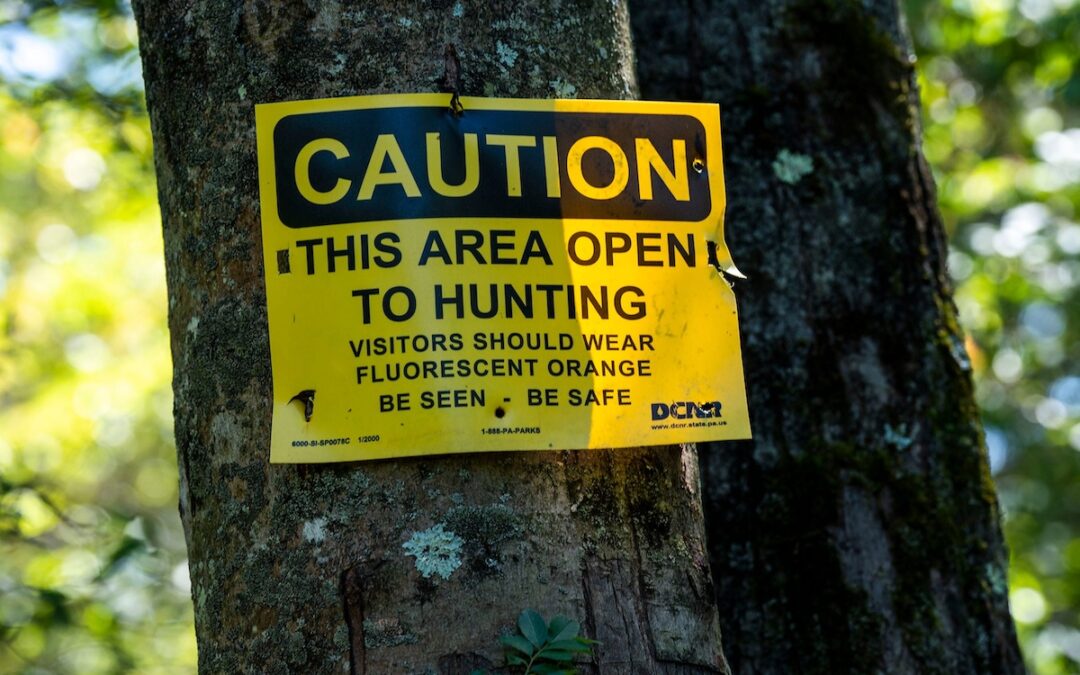 Hunting season set to begin in PA — this year, with extra Sundays