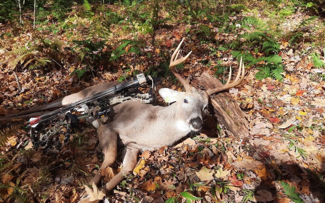 The countdown to Pennsylvania’s archery is underway, here’s what deer hunters need to know