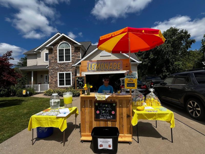 From the first lemonade stand at his house in Millcreek Township, Aaron Kehl raised over $300.