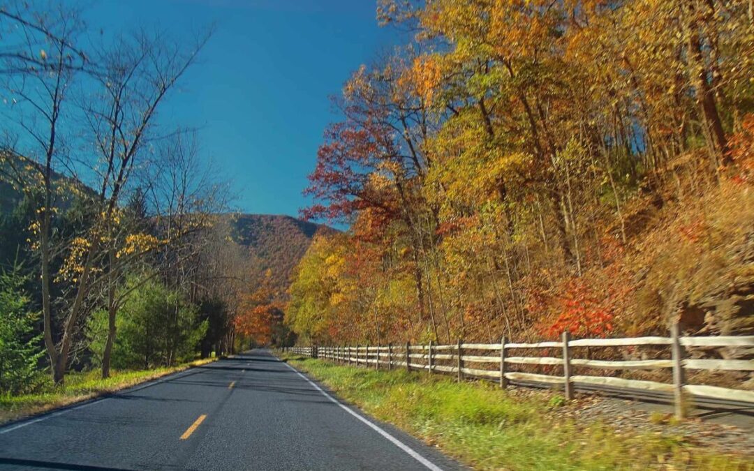 ‘Ooh’ and ‘ah’ at fall foliage on Pennsylvania’s prettiest autumn drives