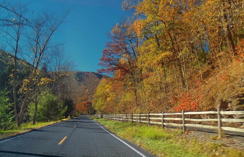 road trips are a great way to take in the sights, including the changing leaves.